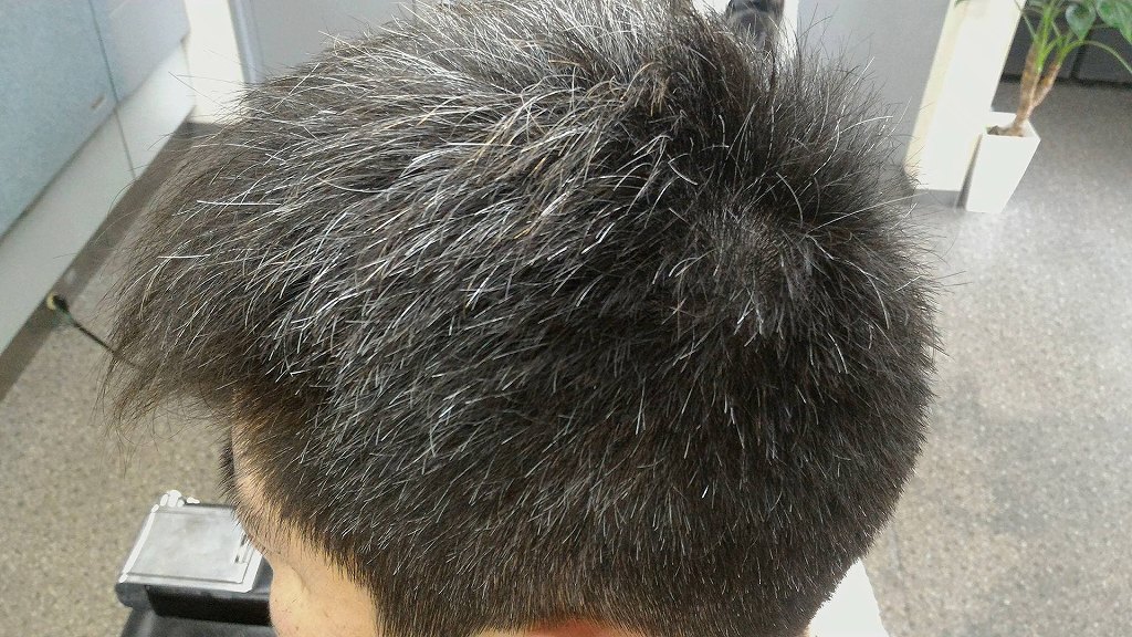 頭皮 肌が弱いお客様の白髪染めはヘアマニキュアをおすすめしています 佐賀県神埼市の床屋ヘアーステーション貴